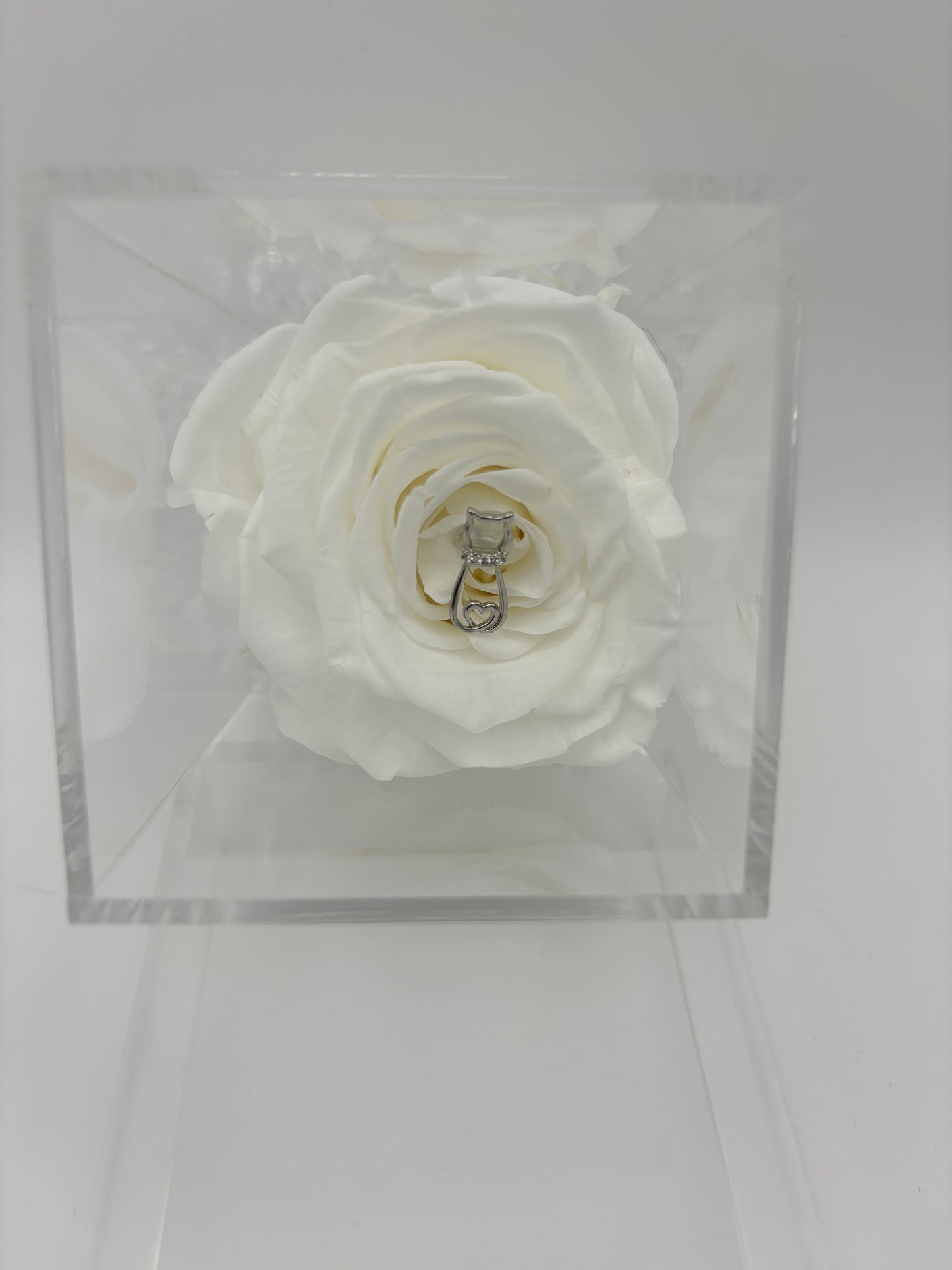 Forever Rose Pet Sympathy Gift